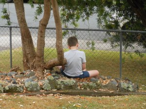 My son under our pohutukawa tree